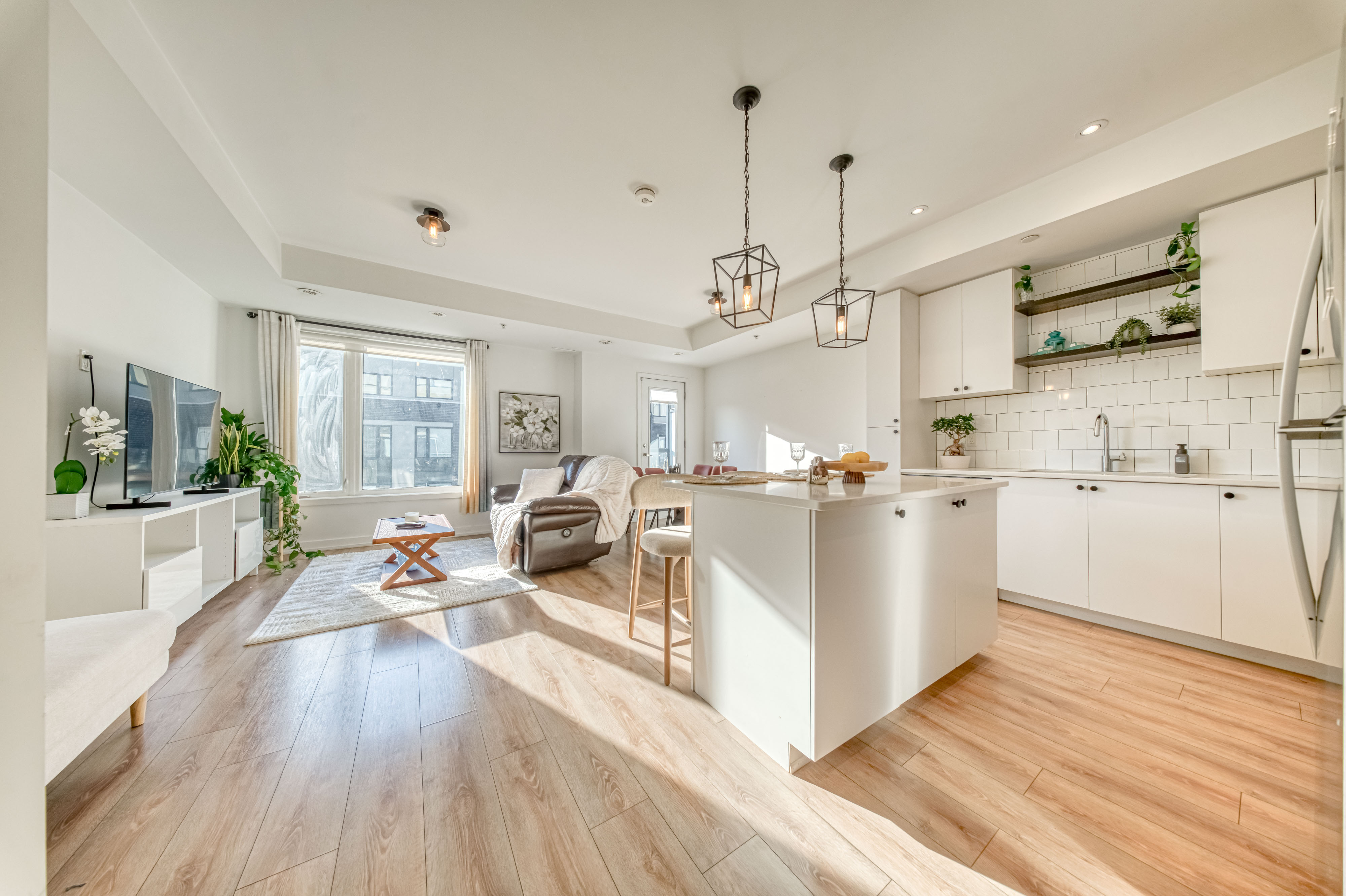 Living & Open Kitchen